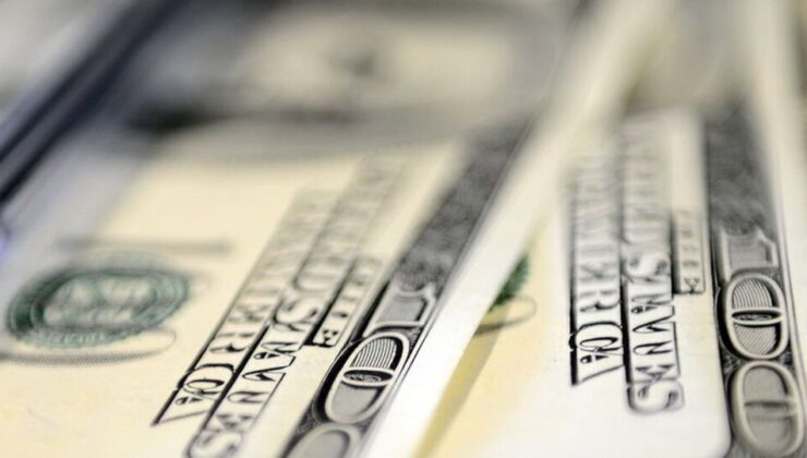 Reel sektörün döviz yükümlülükleri rekor seviyede