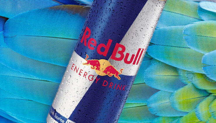 AB, Red Bull’a rekabet soruşturması başlattı